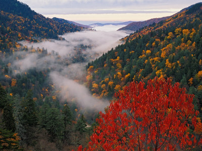 Adam jones autumn view of fog from morton overlook great smoky mountains national park tennessee