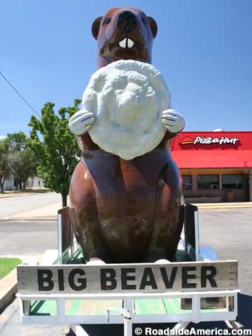 Big beaver