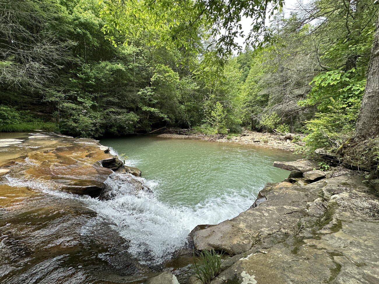 IMG 0346