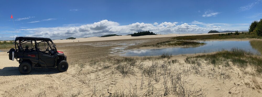 Oregon dunes