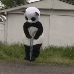 Panda pogo