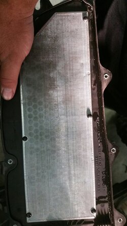 Honda 1000 Air Filter Screen