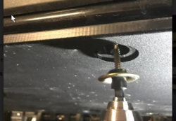 Self tapping screw