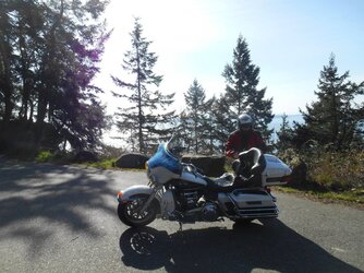 Z Harley Chuckanut dr