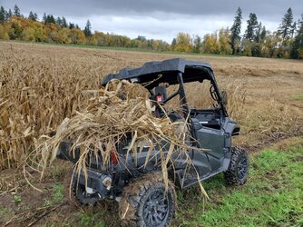 Corn Blind