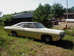 Impala13
