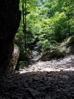 Looking out cave