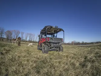 Honda 1000 Pasture copy