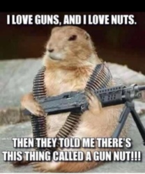 I Love Guns And I Love Nuts Funny Squirrel