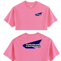 Pink shirt blue wing 1000 5
